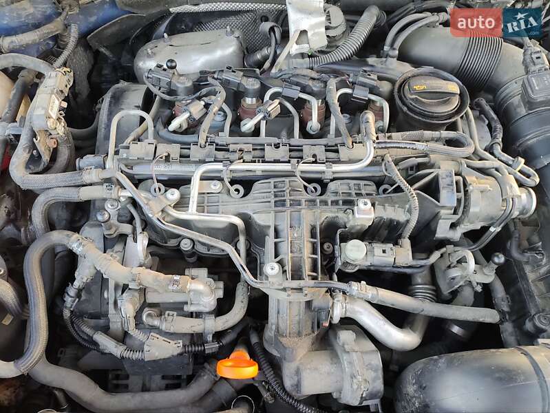 Универсал Skoda Octavia 2010 в Тячеве