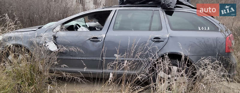 Универсал Skoda Octavia 2010 в Гребенках