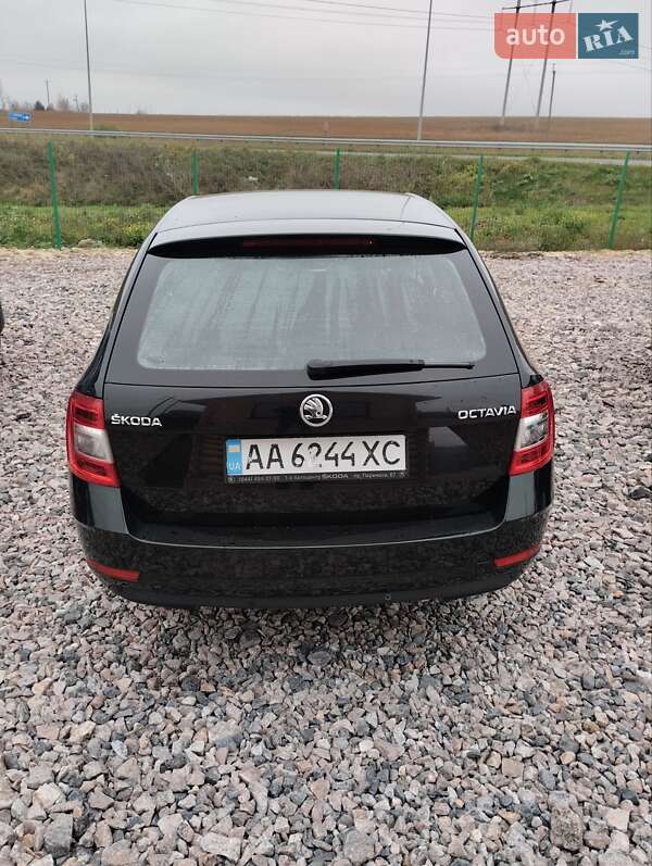 Универсал Skoda Octavia 2019 в Ровно фото 7 Универсал Skoda Octavia 2019 в Ровно
