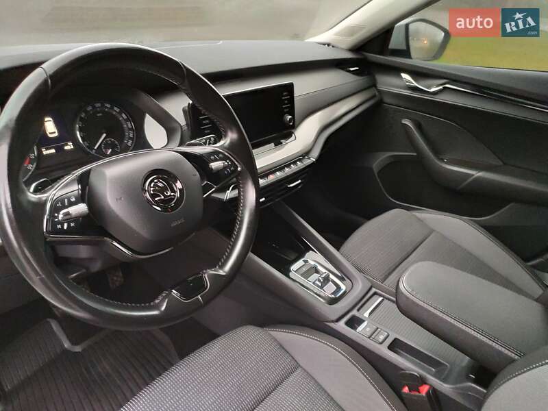 Универсал Skoda Octavia 2020 в Бердичеве