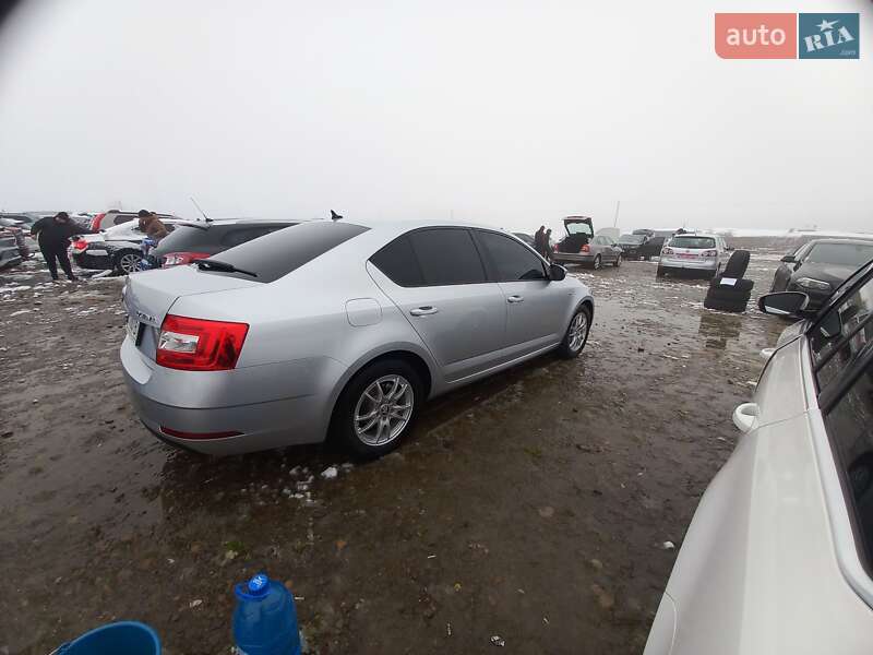 Лифтбек Skoda Octavia 2017 в Толстом