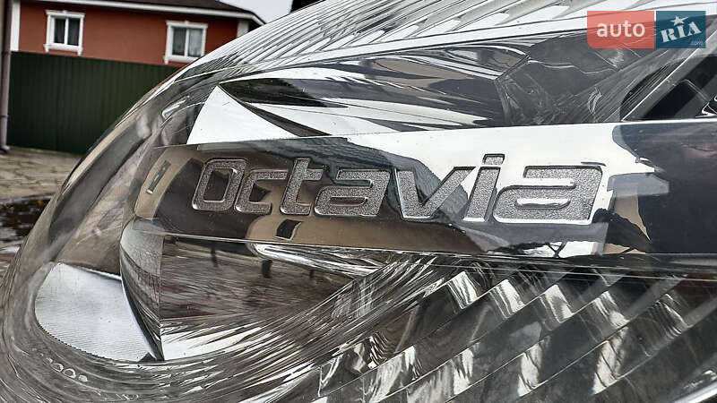 Универсал Skoda Octavia 2010 в Хороле