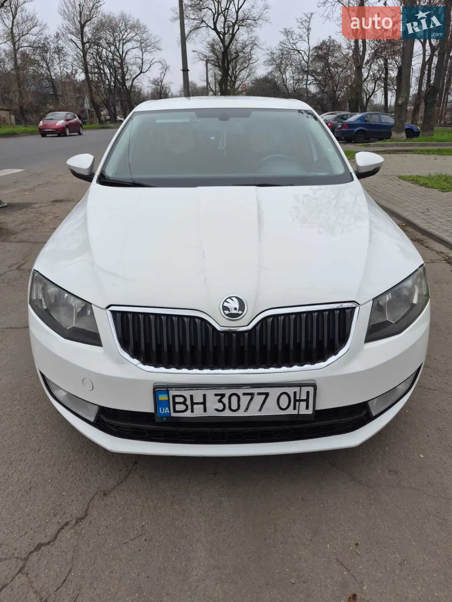 2013 Skoda Octavia - мініатюра 3
