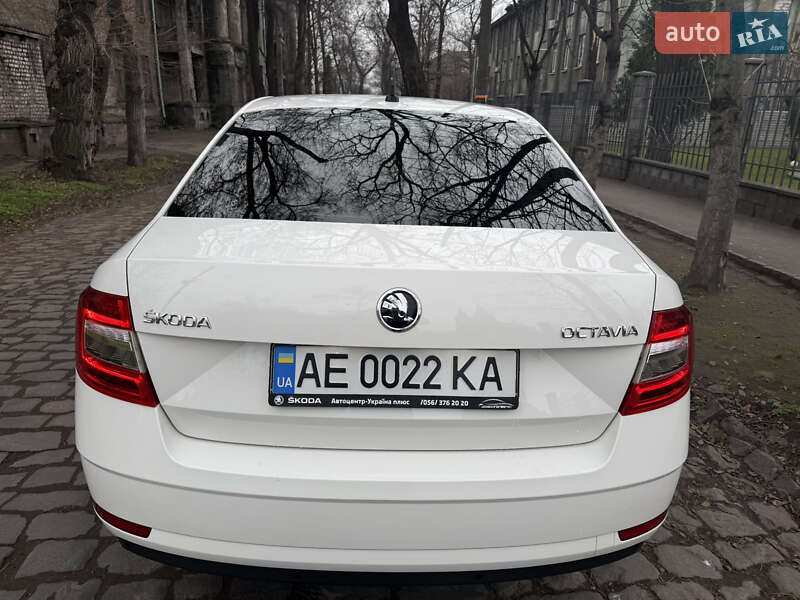 Лифтбек Skoda Octavia 2020 в Каменском фото 5 Лифтбек Skoda Octavia 2020 в Каменском