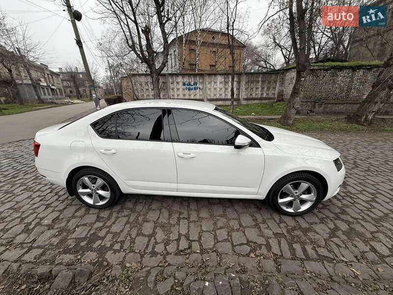 Лифтбек Skoda Octavia 2020 в Каменском фото 7 Лифтбек Skoda Octavia 2020 в Каменском