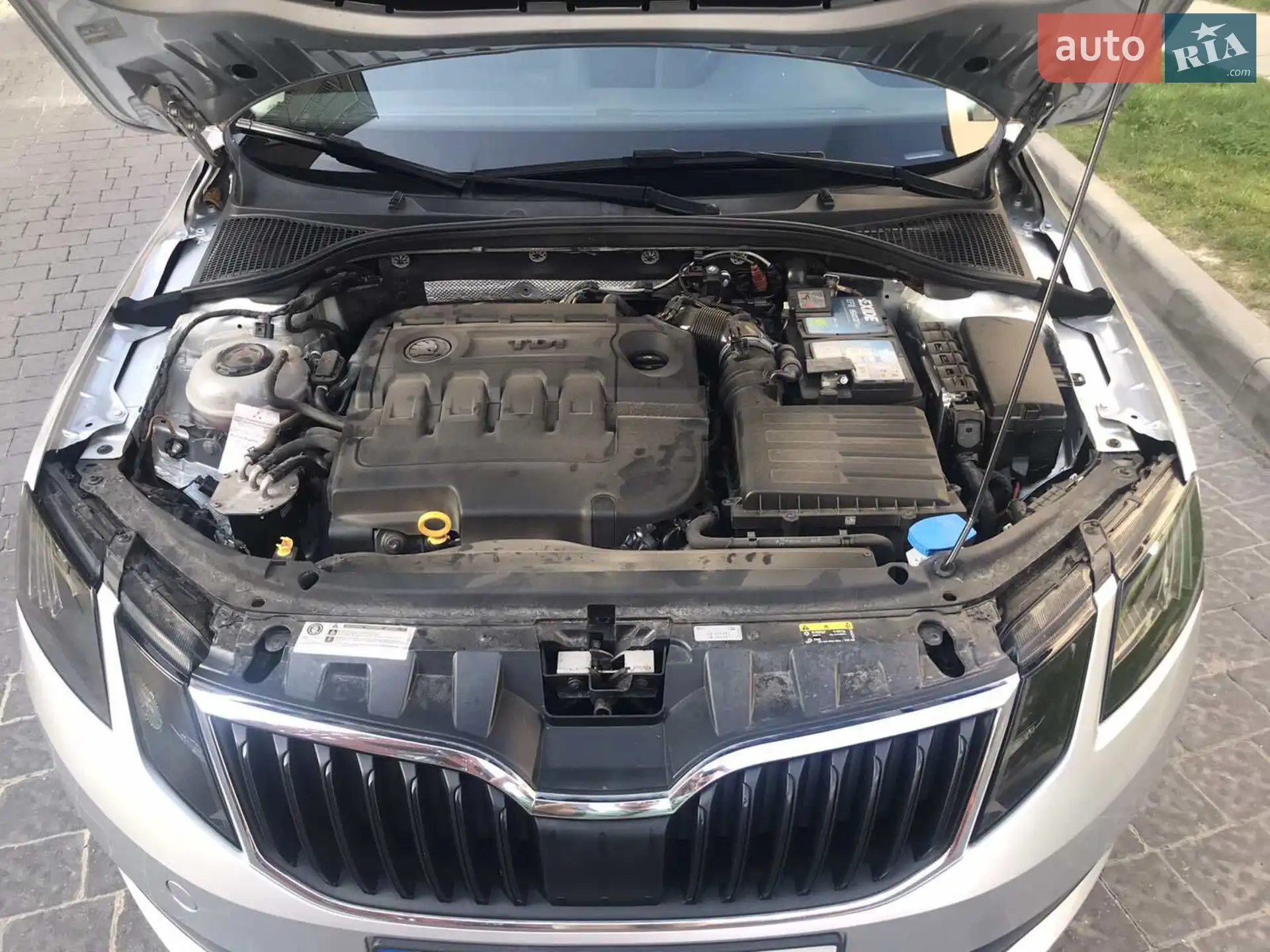 2018 Skoda Octavia - мініатюра 23