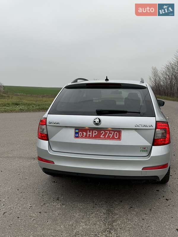 Универсал Skoda Octavia 2014 в Великой Багачке