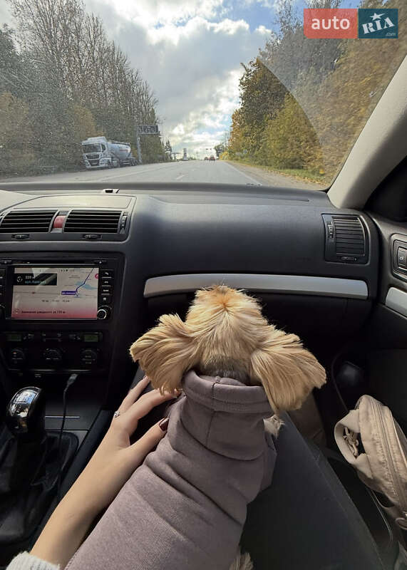 Лифтбек Skoda Octavia 2008 в Дубно фото 9 Лифтбек Skoda Octavia 2008 в Дубно