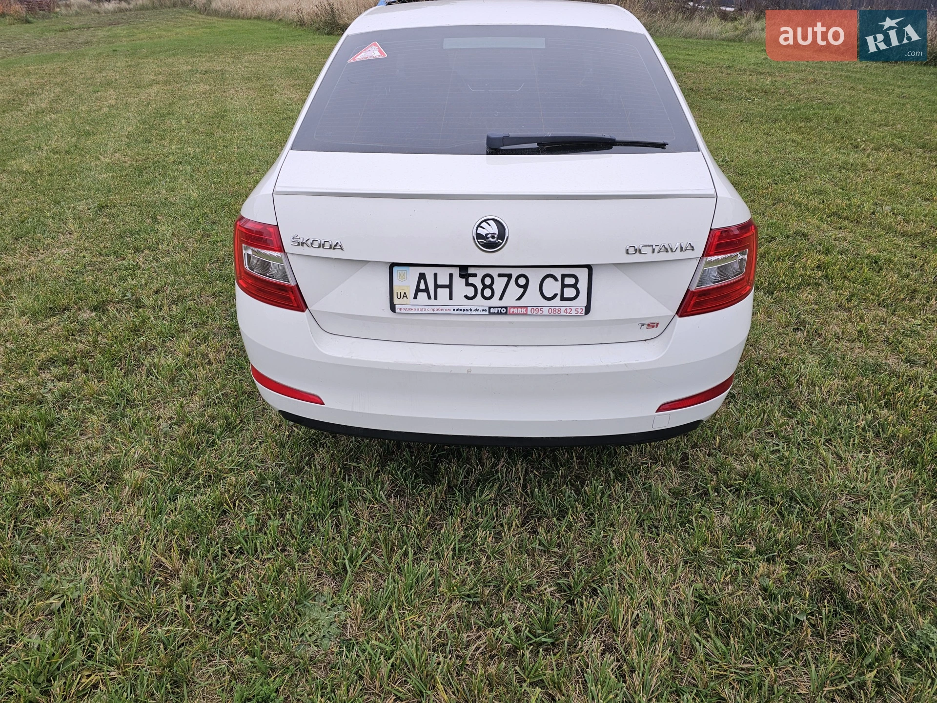2013 Skoda Octavia - мініатюра 10