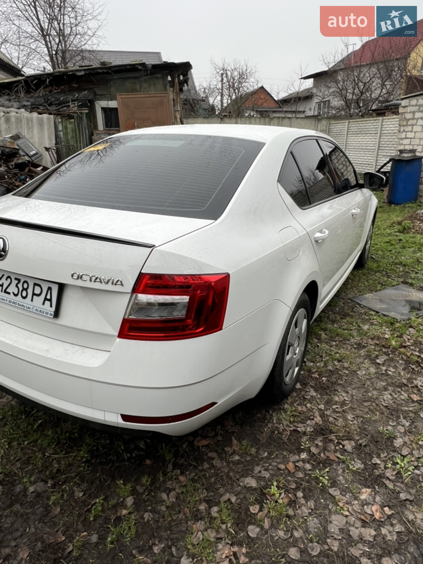 2019 Skoda Octavia - мініатюра 4