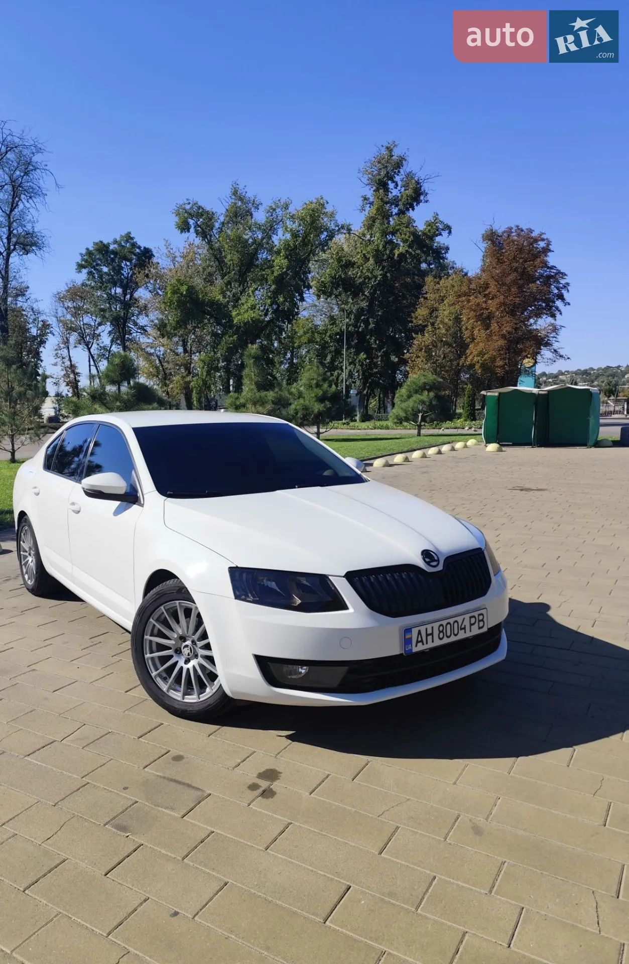 2016 Skoda Octavia - мініатюра 6