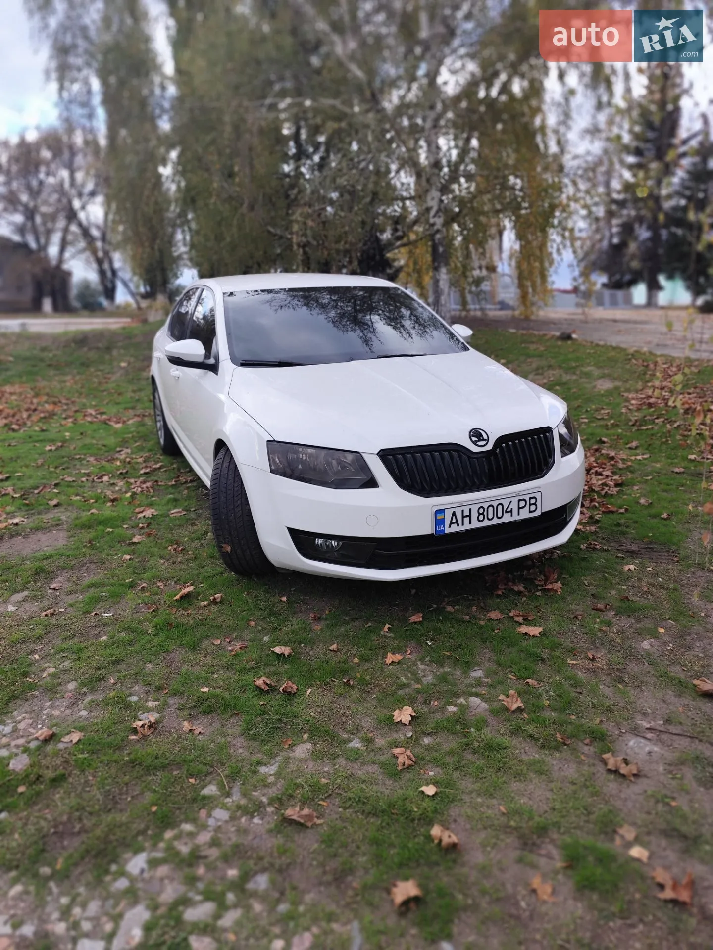 2016 Skoda Octavia - мініатюра 3