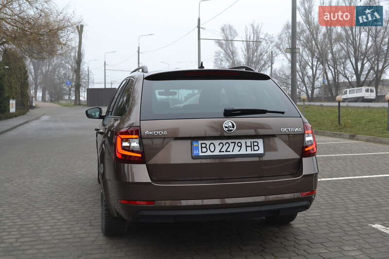 Універсал Skoda Octavia 2019 в Тернополі