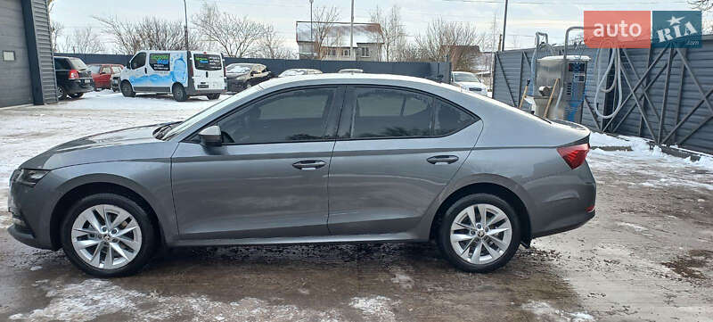 Лифтбек Skoda Octavia 2023 в Пятихатках фото 3 Лифтбек Skoda Octavia 2023 в Пятихатках