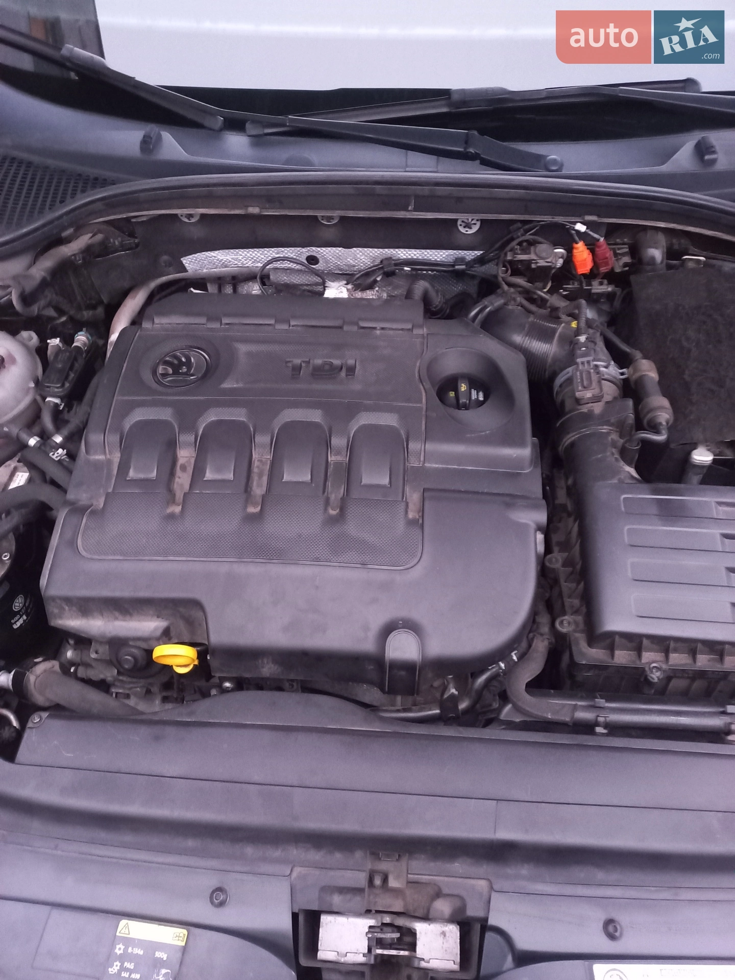 2013 Skoda Octavia - мініатюра 7