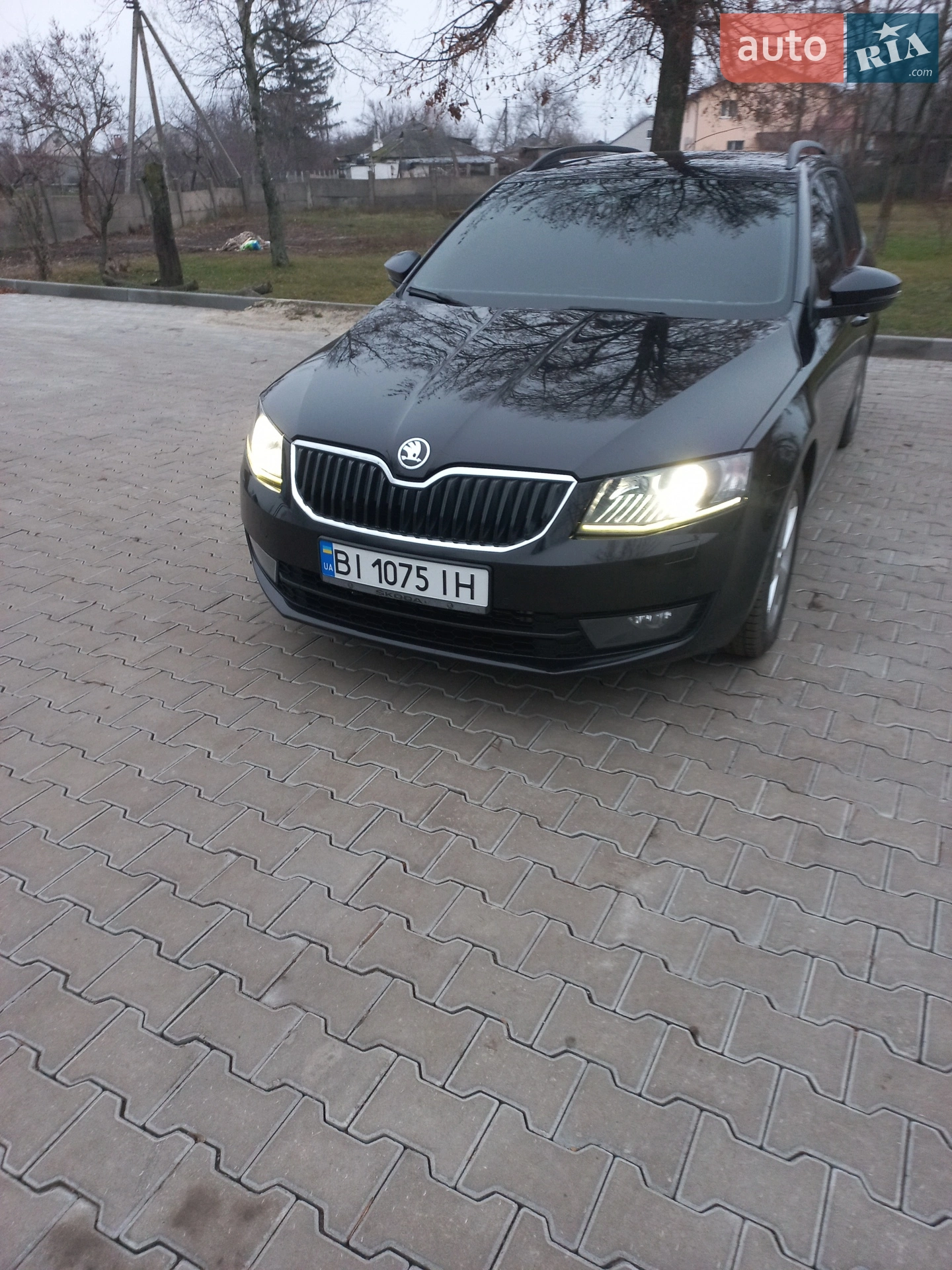 2013 Skoda Octavia - фото 1