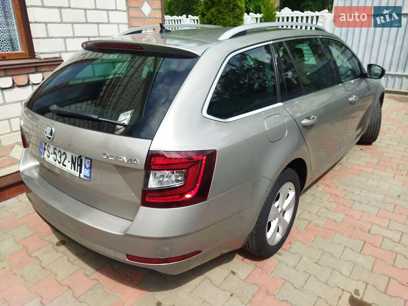 Универсал Skoda Octavia 2019 в Звягеле фото 45 Универсал Skoda Octavia 2019 в Звягеле