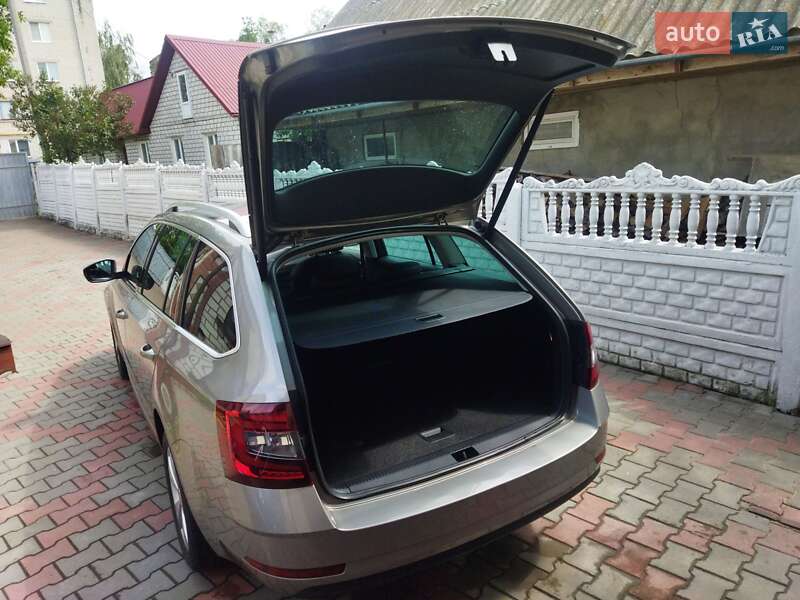 Универсал Skoda Octavia 2019 в Звягеле фото 57 Универсал Skoda Octavia 2019 в Звягеле