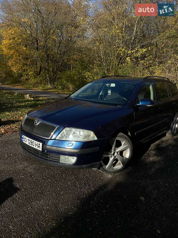 Универсал Skoda Octavia 2005 в Теребовле