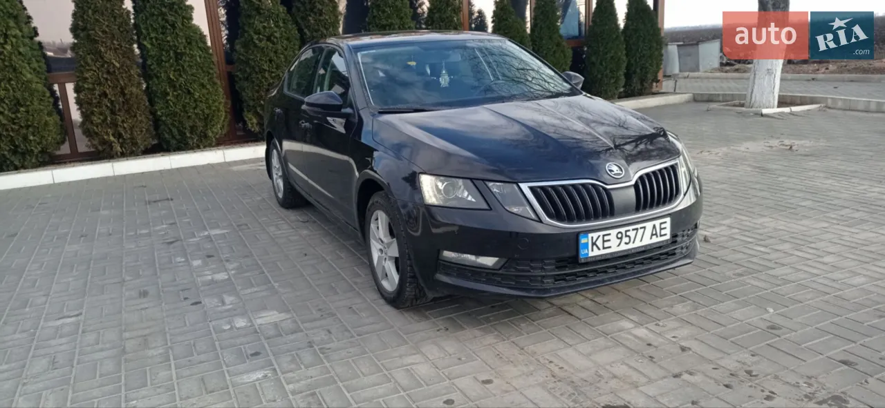 2019 Skoda Octavia - мініатюра 11