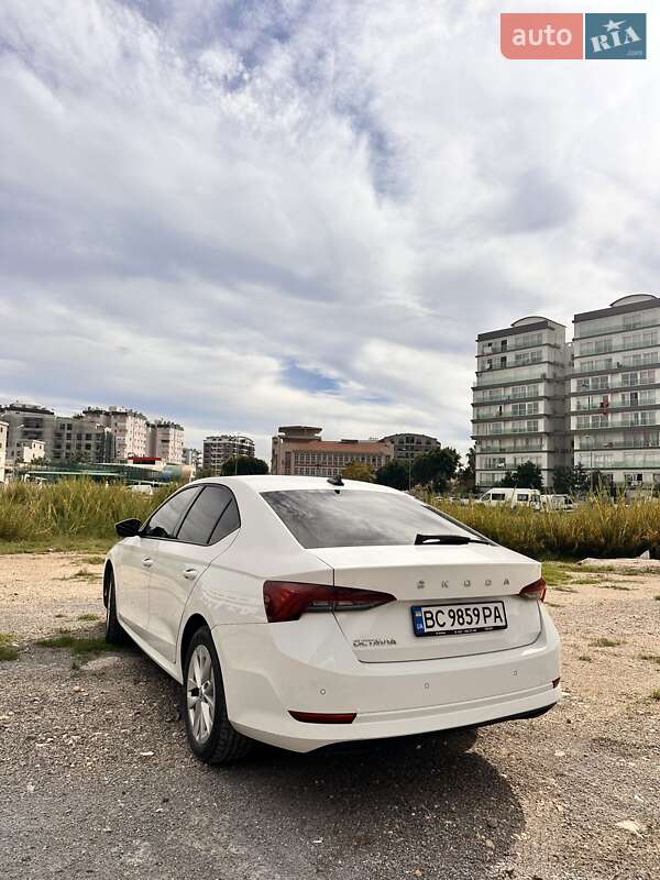Лифтбек Skoda Octavia 2021 в Светловодске фото 7 Лифтбек Skoda Octavia 2021 в Светловодске