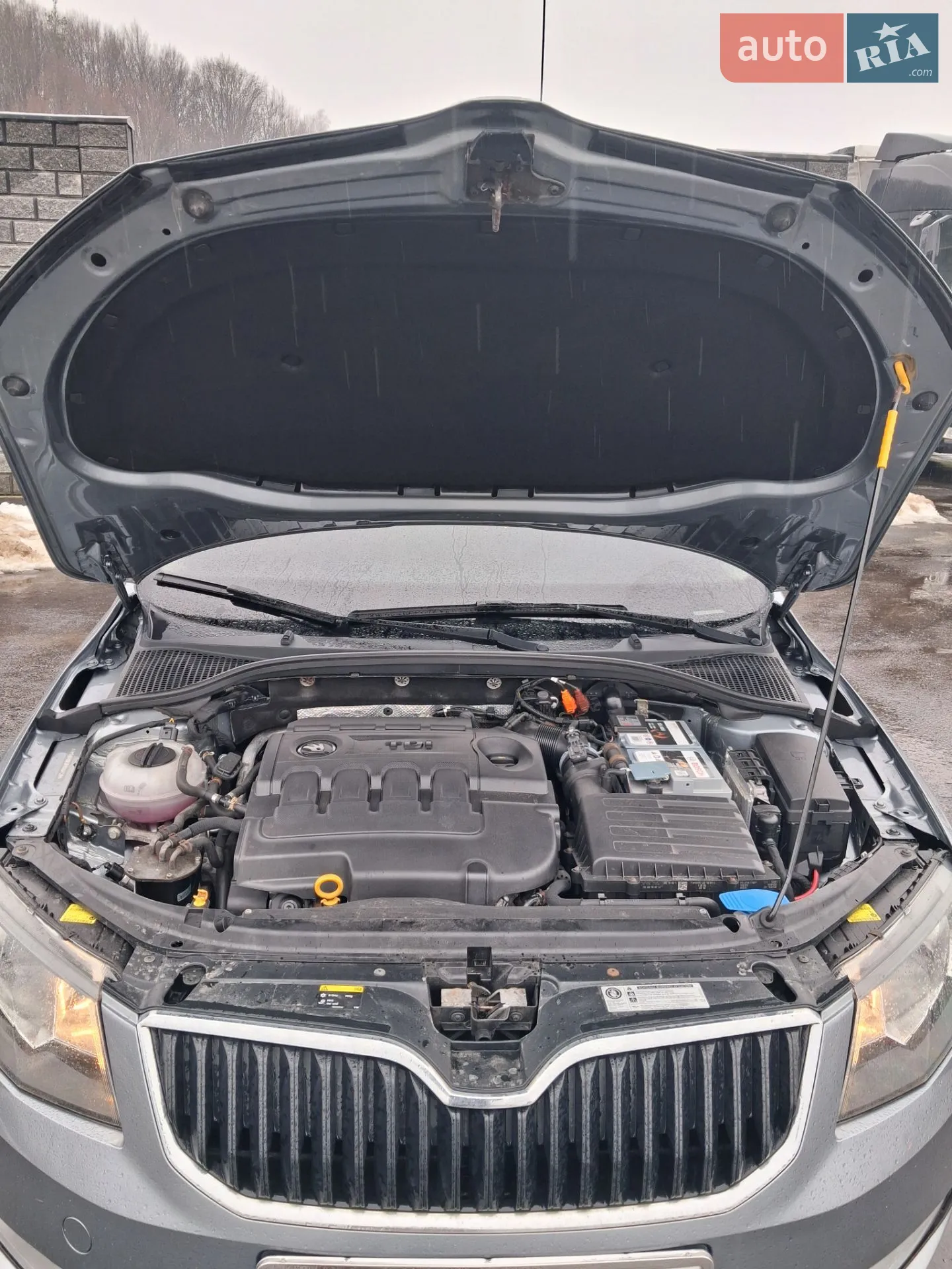 2013 Skoda Octavia - мініатюра 36