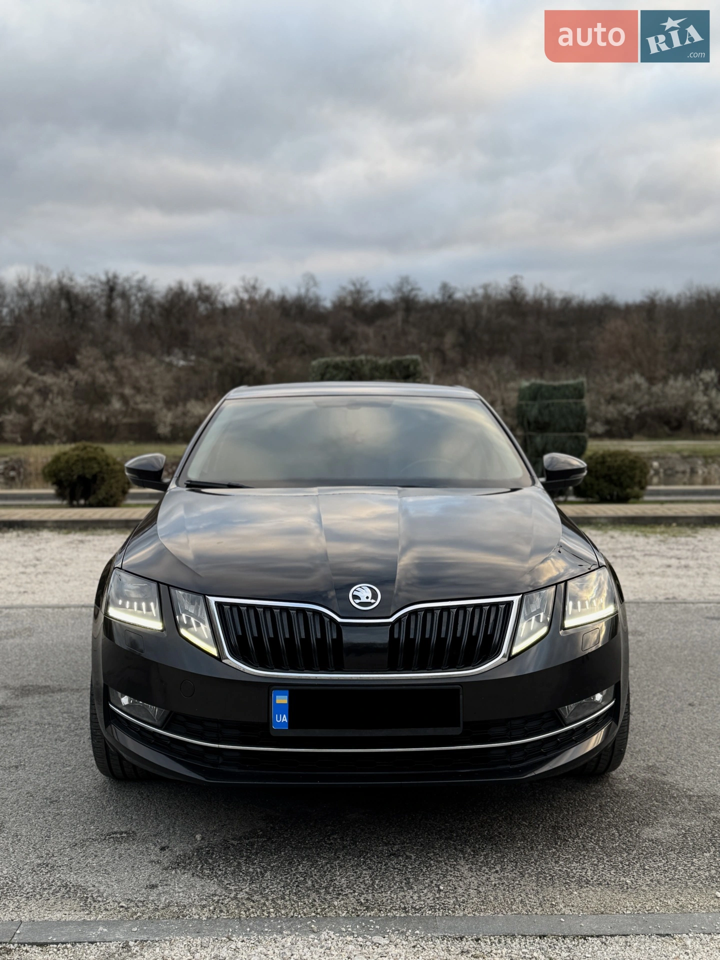 2018 Skoda Octavia - мініатюра 8