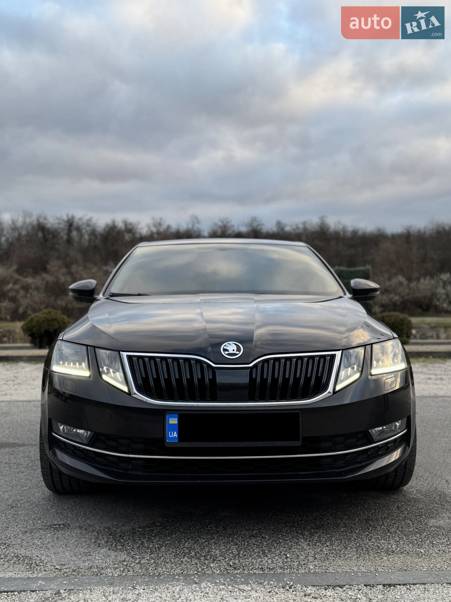2018 Skoda Octavia - мініатюра 10