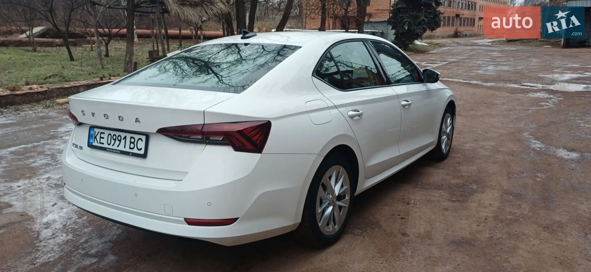 2020 Skoda Octavia - мініатюра 3