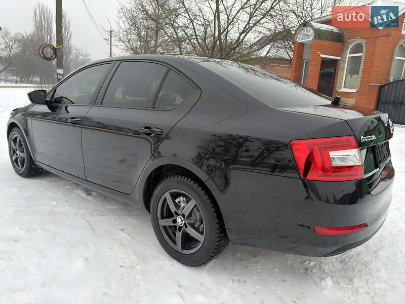 Лифтбек Skoda Octavia 2014 в Ахтырке фото 23 Лифтбек Skoda Octavia 2014 в Ахтырке