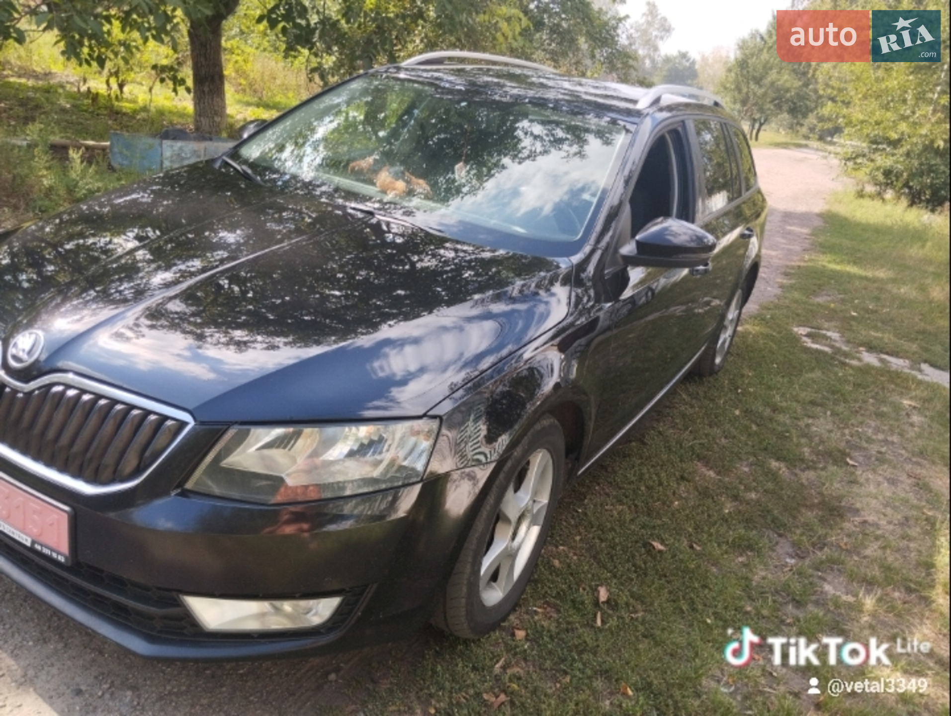 2013 Skoda Octavia - мініатюра 2
