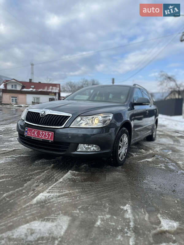 2009 Skoda Octavia, VIN TMBHJ61Z1A2035409:plate — фото 1 (autoria)
