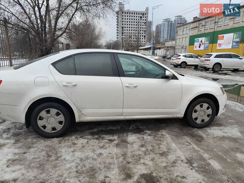 Лифтбек Skoda Octavia 2019 в Киеве фото 5 Лифтбек Skoda Octavia 2019 в Киеве