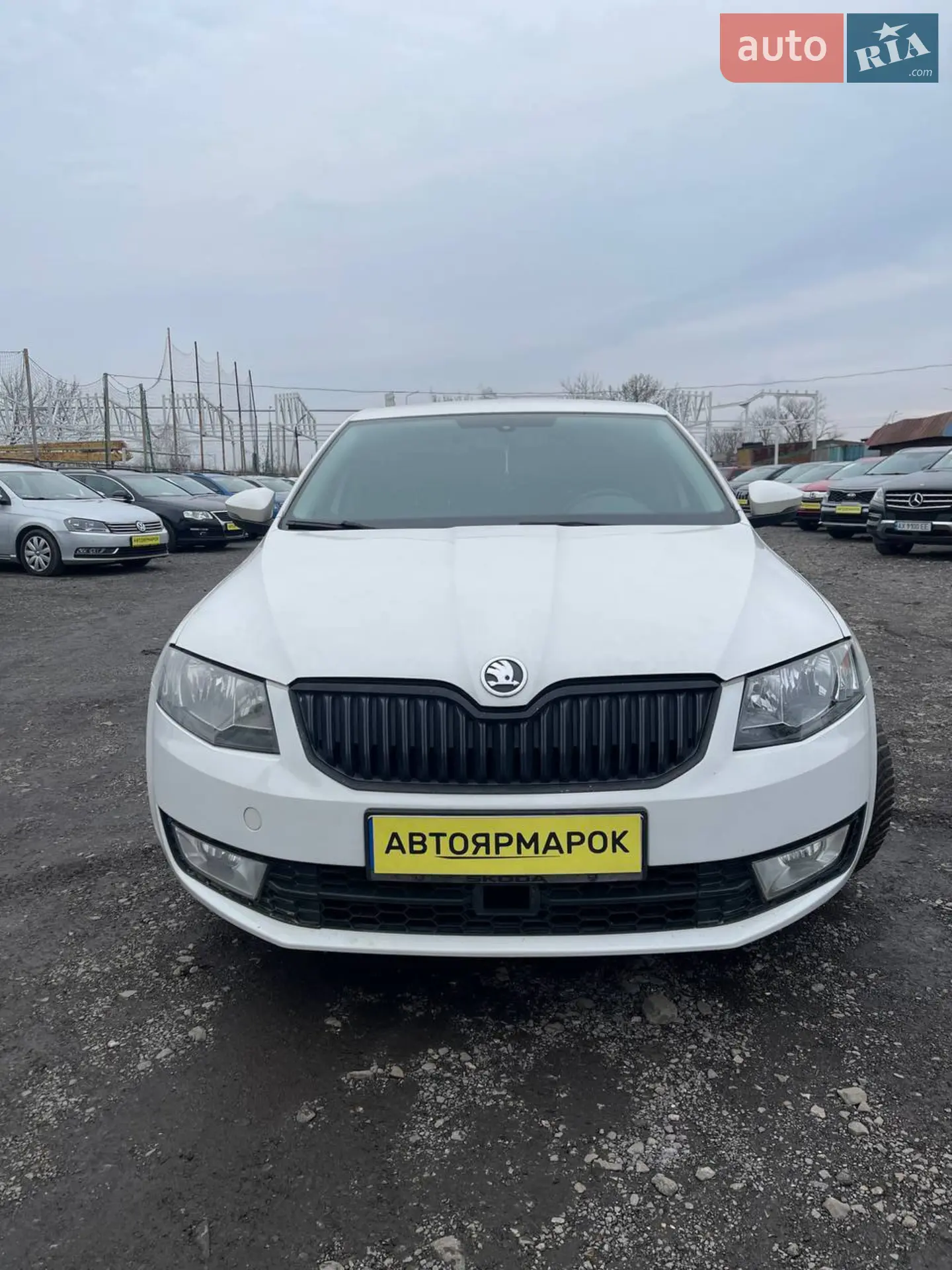 2013 Skoda Octavia - мініатюра 13
