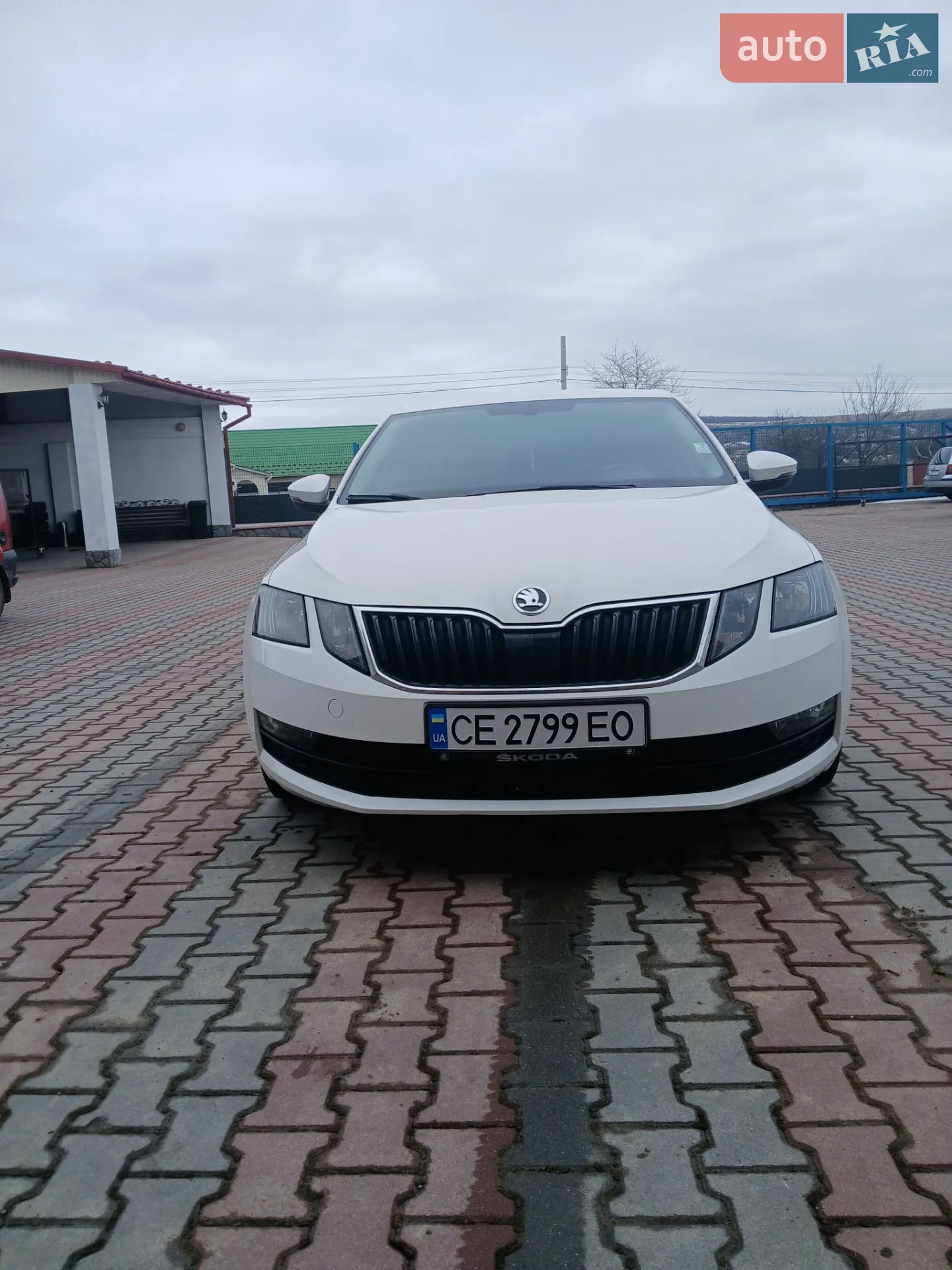 2017 Skoda Octavia - фото 1