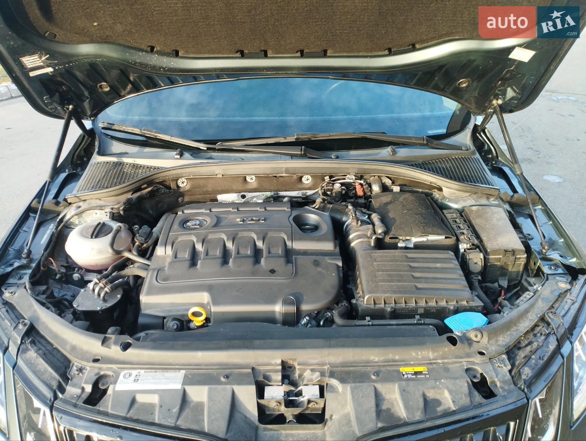 2017 Skoda Octavia - мініатюра 11