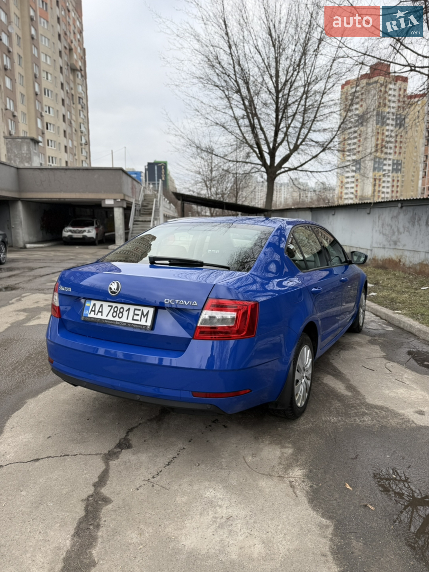 2019 Skoda Octavia - мініатюра 3