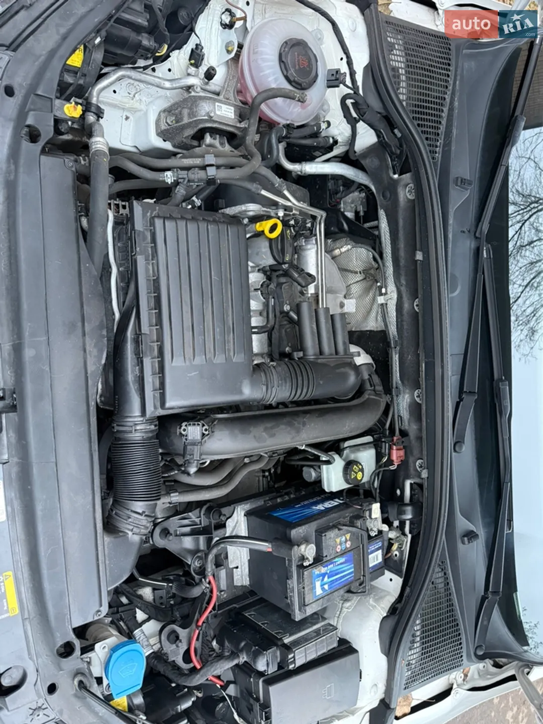 2019 Skoda Octavia - мініатюра 18
