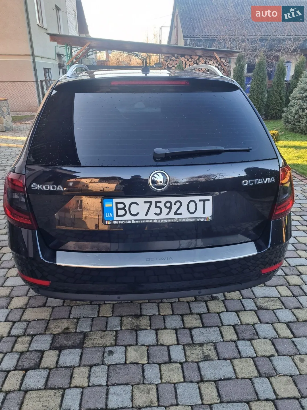 2017 Skoda Octavia - мініатюра 5