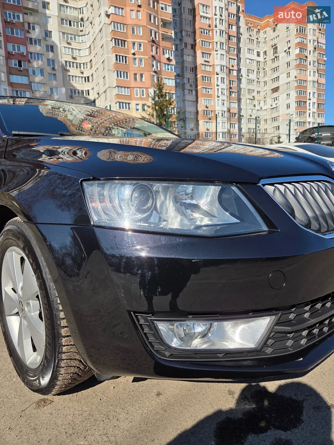 2013 Skoda Octavia - мініатюра 8