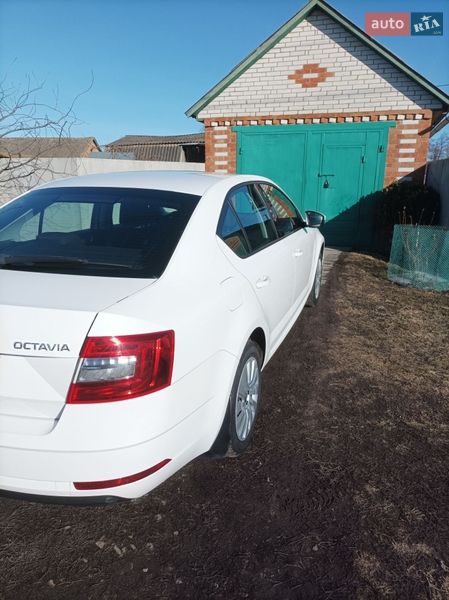 Лифтбек Skoda Octavia 2017 в Ромнах