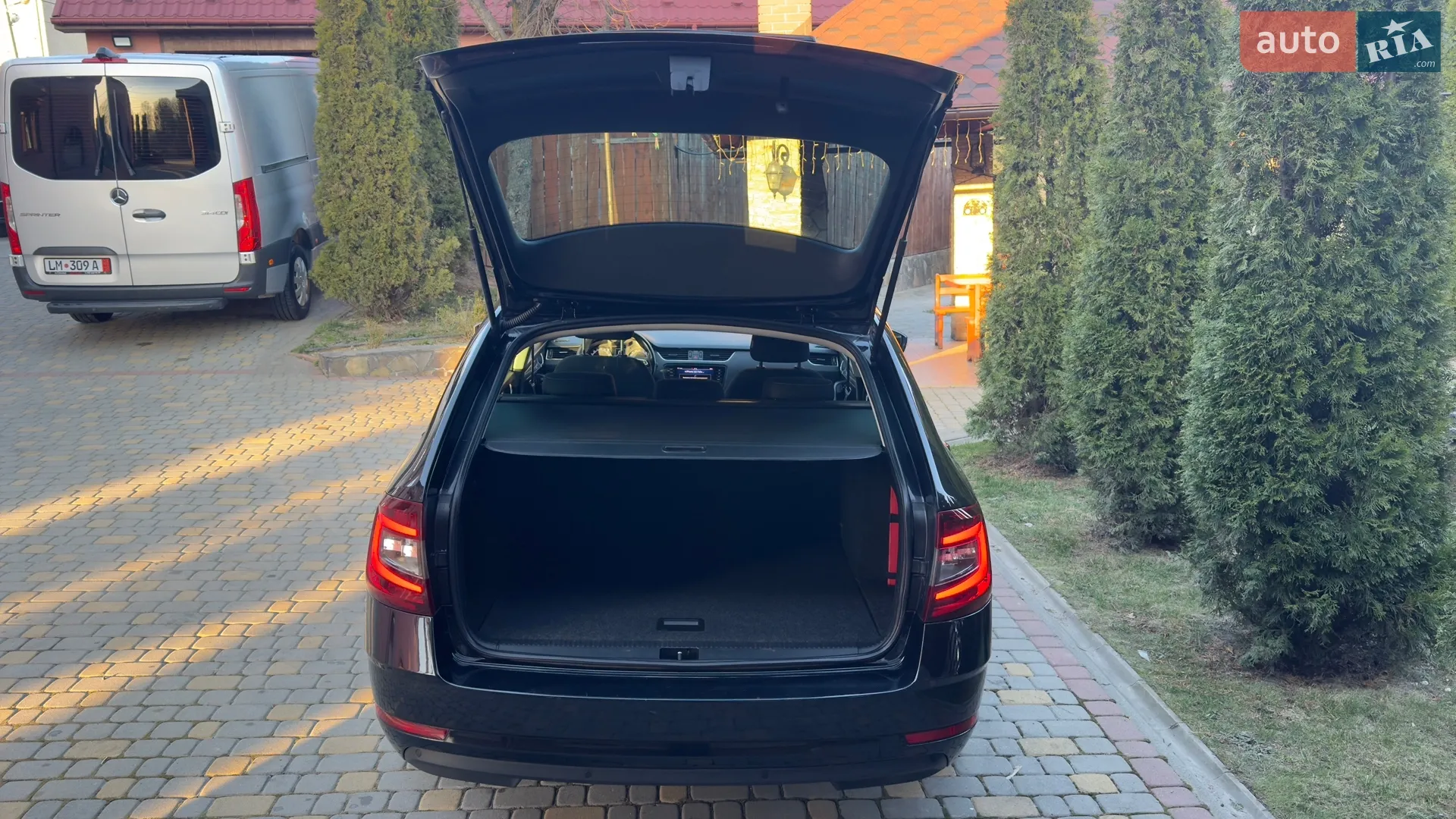 2019 Skoda Octavia - мініатюра 10