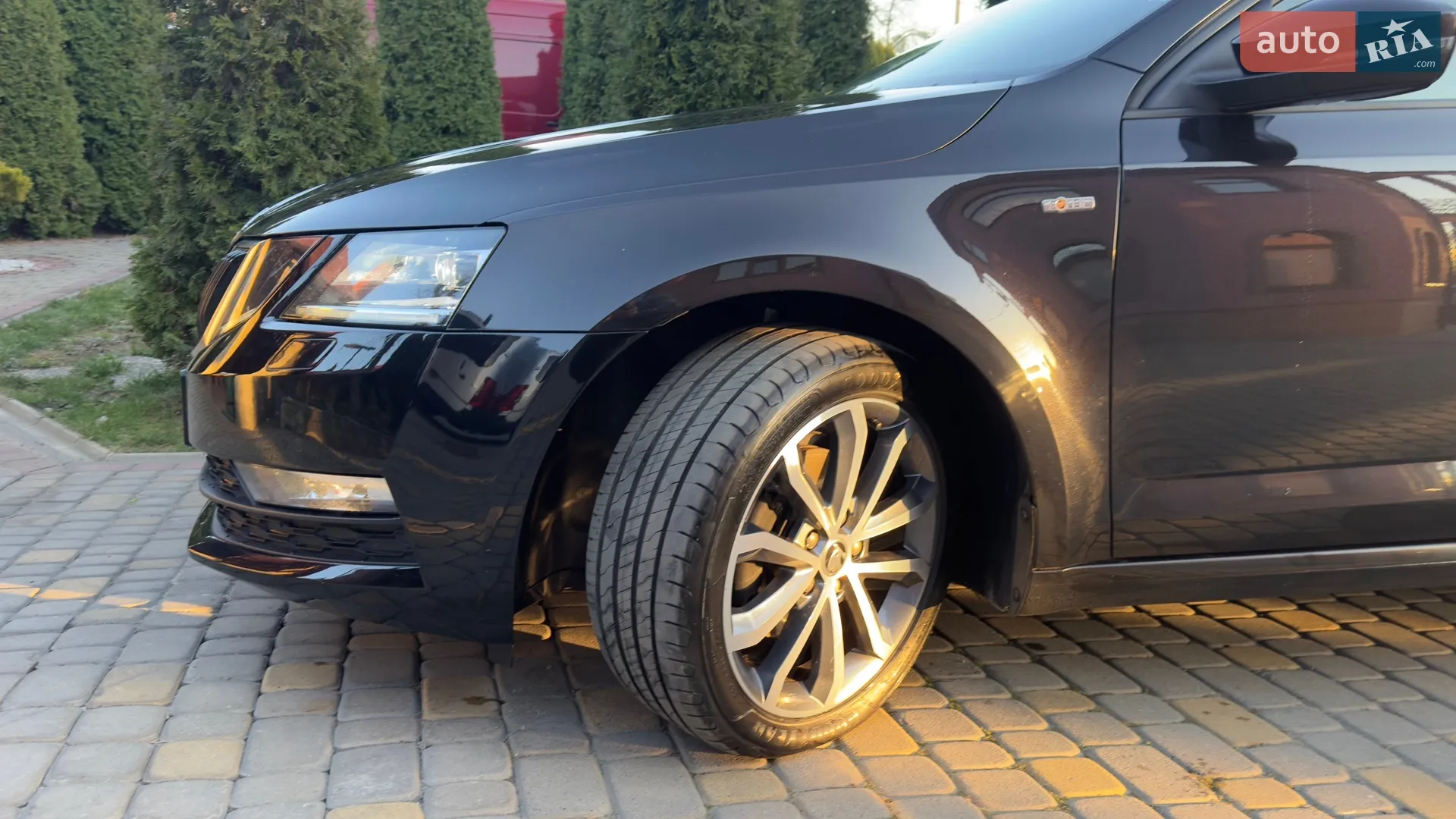 2019 Skoda Octavia - мініатюра 83
