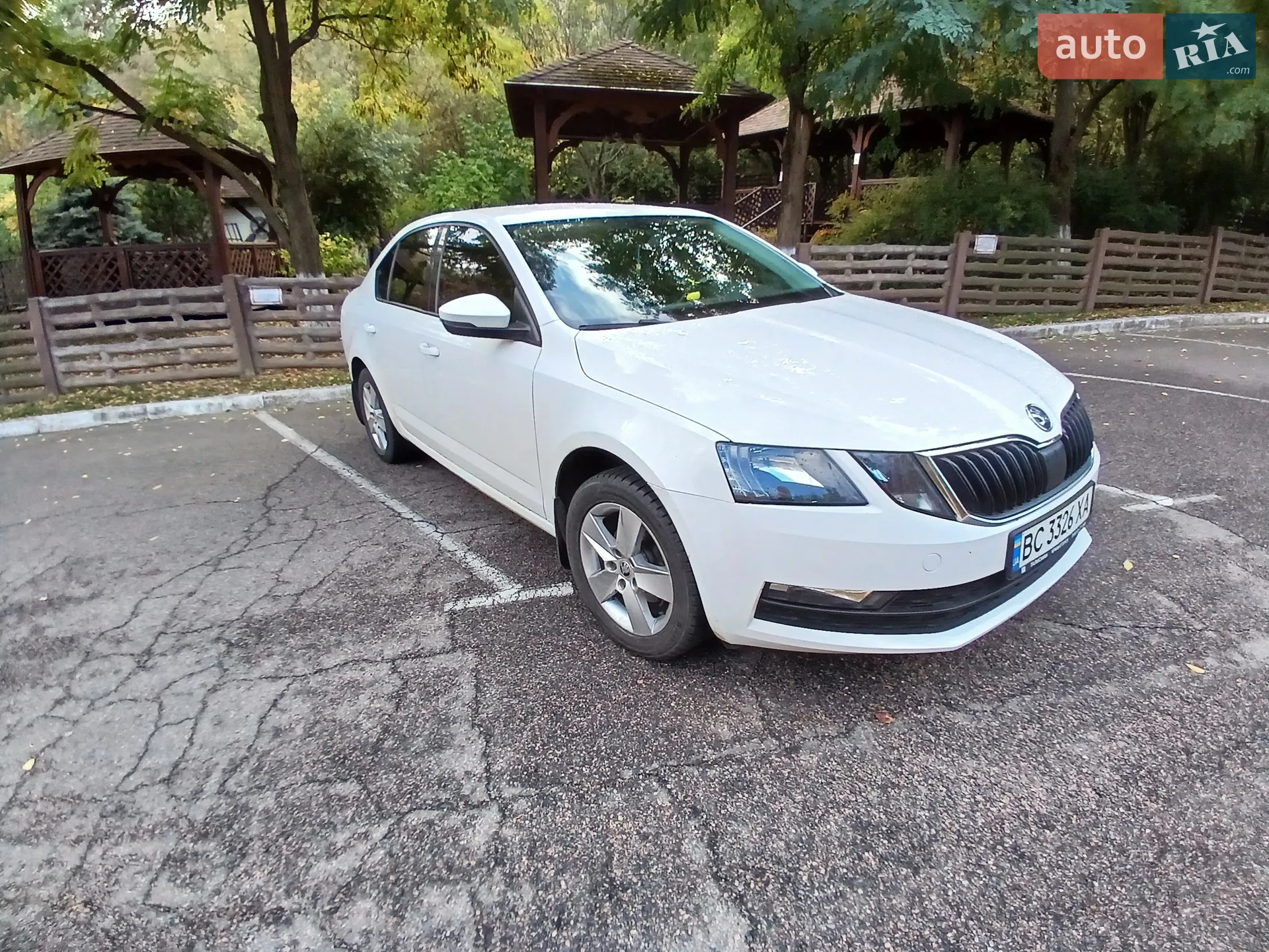 2019 Skoda Octavia - мініатюра 12