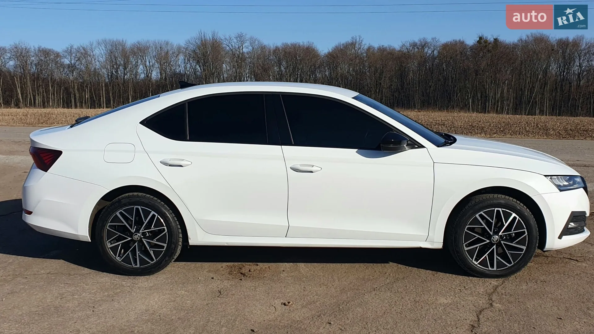2020 Skoda Octavia - мініатюра 43