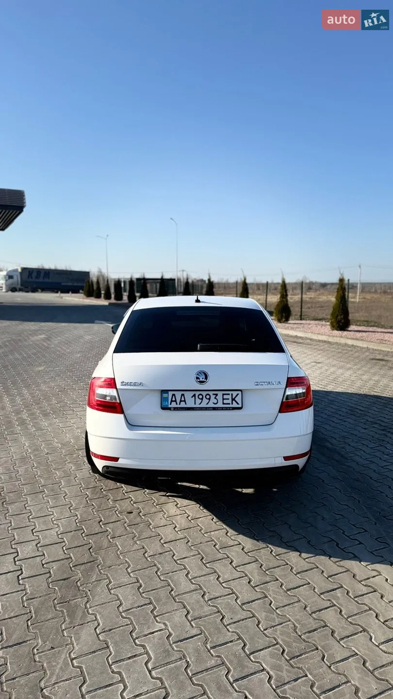 2019 Skoda Octavia - мініатюра 5