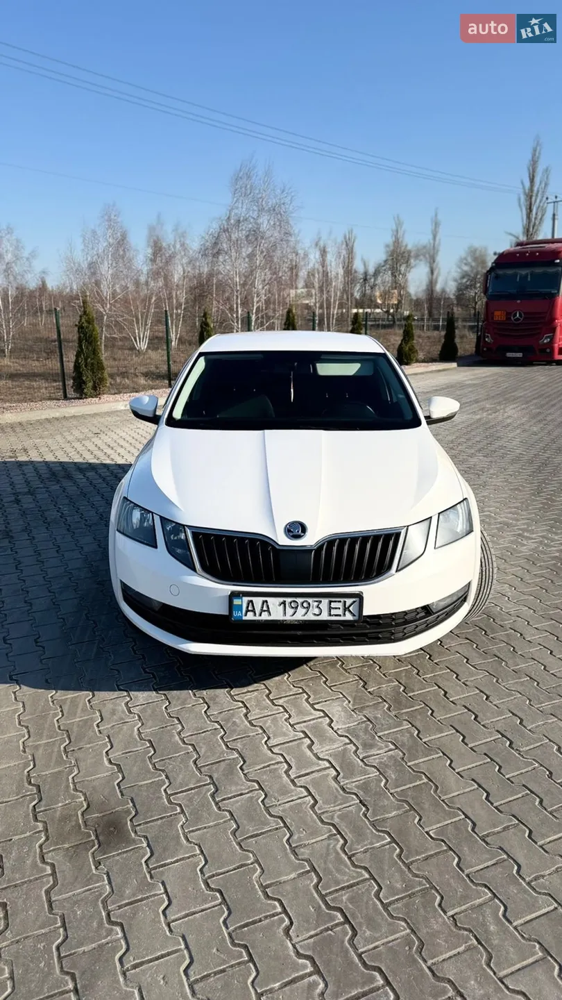 2019 Skoda Octavia - мініатюра 9