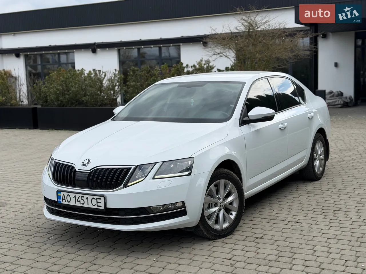 2019 Skoda Octavia - мініатюра 16