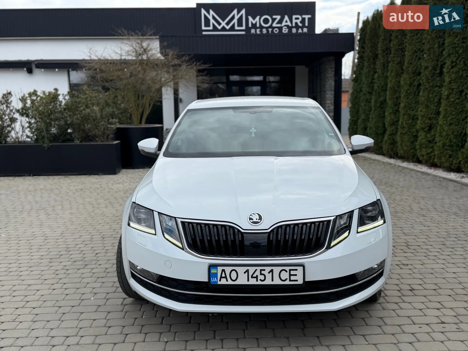 2019 Skoda Octavia - мініатюра 3