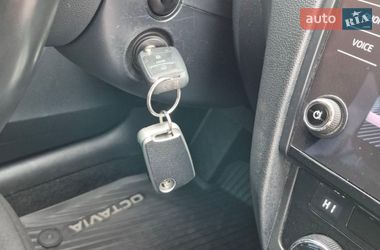 Универсал Skoda Octavia 2019 в Ровно